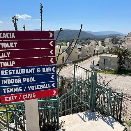 Semesterbostad Flamingo Bodrum *